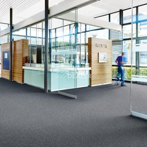 Forbo Coral Go 2201 London Grey фото 2 | FLOORDEALER